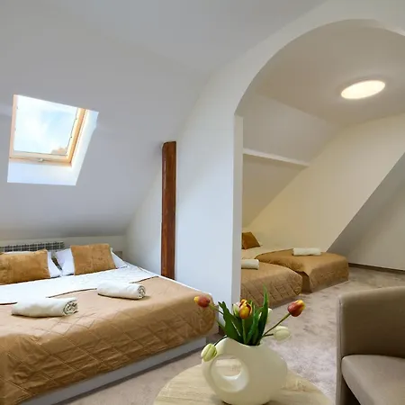 Apartment Stokrotka